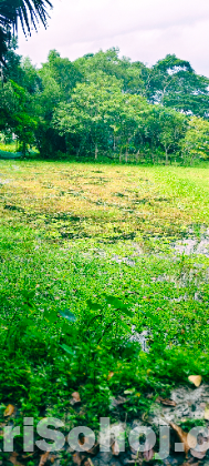 বিনিয়োগের জন্য দারুণ সুযোগ,  কম দামে জমি কিনুন।